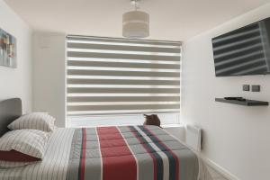 Depto centro Valdivia vivo Caupolican 243