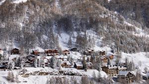 Appartement 35 m2 4p proche des pistes de ski la foux d Allos Avec piscine chauffée saison été et wifi