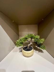 Beautiful Modern 3 Bedroom Home