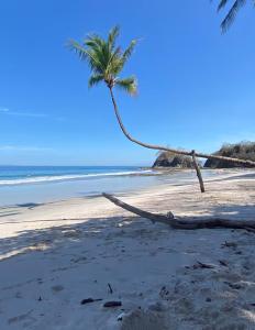 Playa Mantas - 7th Floor - Sea View - Beach Club Access - Balcony - Beach