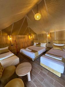 morocco sahara desert camp & activities