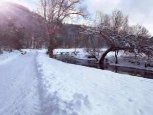 Ferienwohnungen Däubler