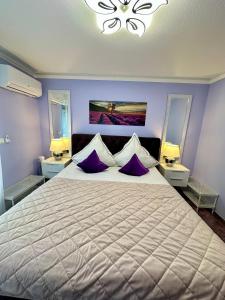 Charming apartment with Garden, Free Parking near Basel, Airport, Germany, France,