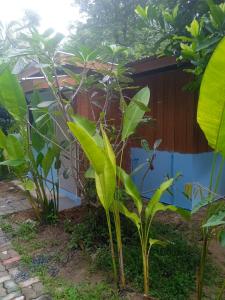 Bang risskee home stay1