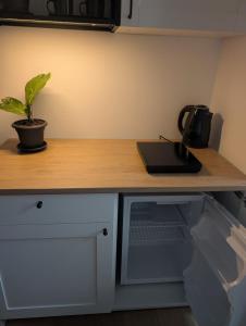 Luxury Suite - Zen Urban Retreat