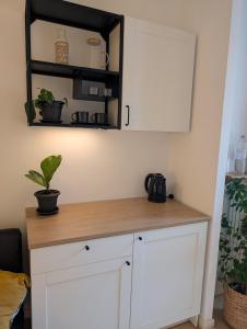 Luxury Suite - Zen Urban Retreat