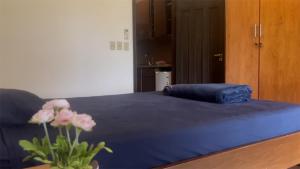 Apartamentos Piratava