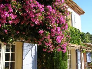 Chambres Dhôtes Le Mas Des Cigales