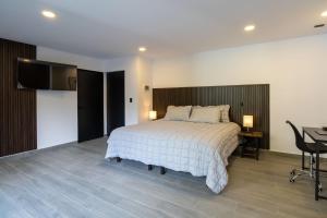 Luxurious Room in Heart of Ciudad de Mxico - Room B2