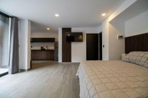 Luxurious Room in Heart of Ciudad de Mxico - Room B2