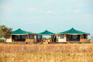 Pori Pori Lodges & Camps