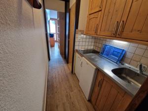 Studio lumineux 4 pers, accès direct pistes, balcon sud - FR-1-181-2633