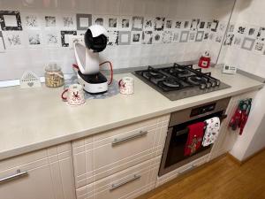 Craiova Apartament Craciun