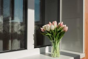 Luxury 1-bd Apartment Novomestenska Street