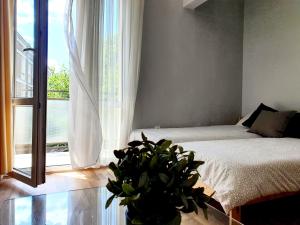 Rajskie Gdańskie Studio I