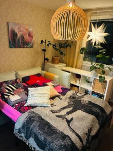 Arctic Aurora Skyline Apartment