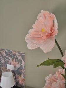 Clorophilla Guest House