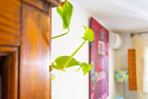 Vilamurada Terraza con vistas al casco antiguo