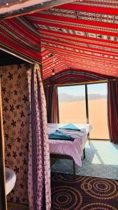 Desert Nights camp