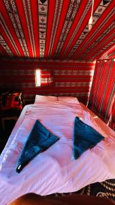 Desert Nights camp