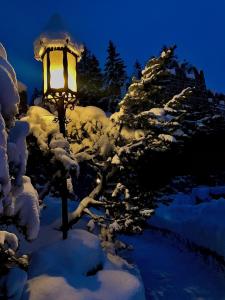 Castle Apartment in Ponte di Legno