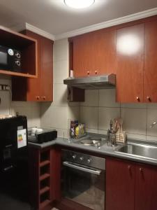 Departamento Ejecutivo Santiago centro