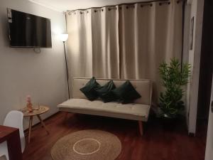 Departamento Ejecutivo Santiago centro