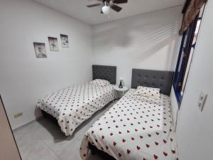 CANEY traveller house 302