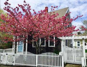 5 Min Walk to Town Patio Yard & A C