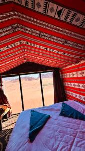 Desert Nights camp