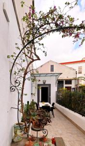 Domus Petrucci with Terrace