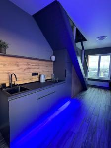 Квартира в центре Харькова двухуровневая