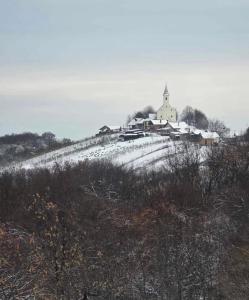 Holiday Home Medimurski Ceker