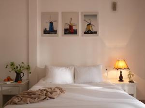 Nhà của Mèo Huỳnh Tấn Phát Đà lạt
