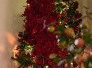 Nhà của Mèo Huỳnh Tấn Phát Đà lạt