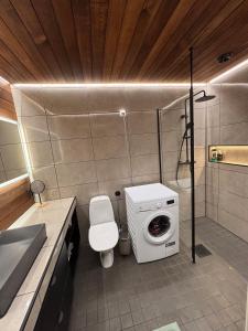 Stylish and cozy apartment