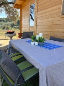 Bosquemar cabin for Family, animals and massages
