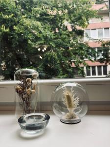 Central City Stay Šancová