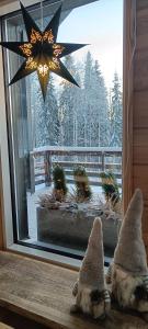 Villa Joutti Luxury house