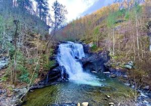 Biker-Friendly Cabin, Pets Welcome, Near River