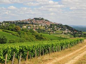 Hotel Ibis Budget Cosne Sur Loire