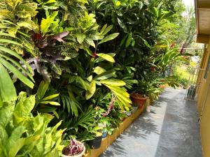 M&A Tranquility Cottage