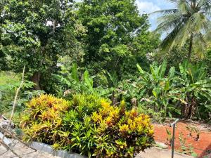 M&A Tranquility Cottage