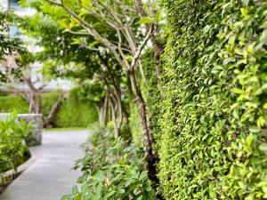 The Title Naiyang by RESAVA