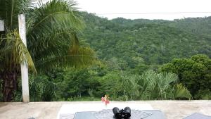 Mayan World Adventures