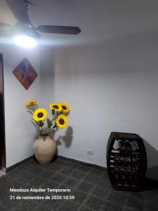 Mendoza Alquiler Temporario