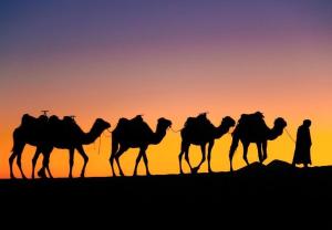 Sahara Moon Luxury Camp