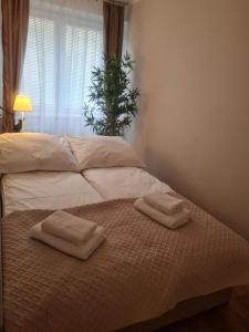 Apartament Toruń Orbita bezpłatny parking