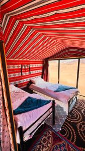 Desert Nights camp
