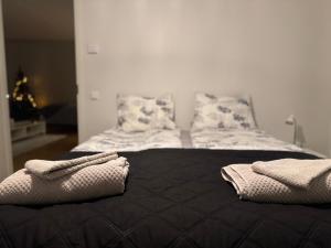 Cozy home with sauna - central location